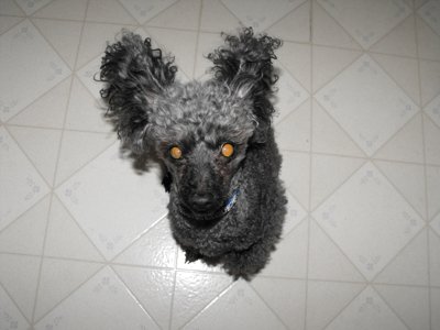 ./2009/Nigel/thumbnigel